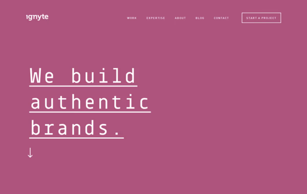 Ignyte Web Design