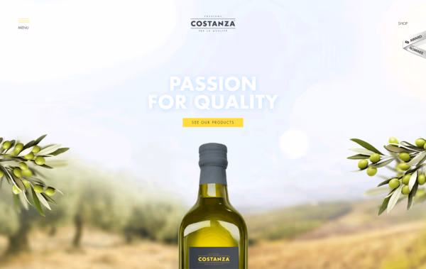 Costanza Web Design