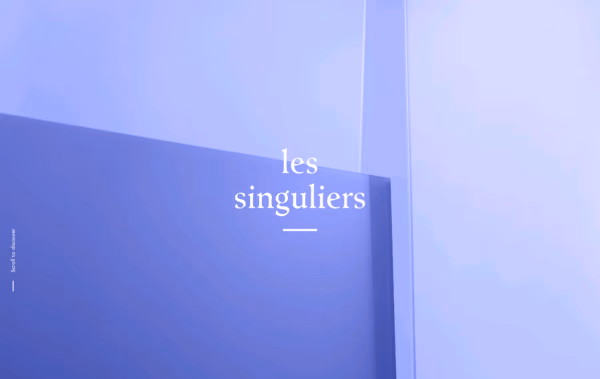 Les Singuliers Web Design