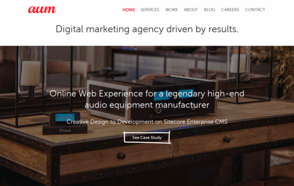 Aumcore NYC Web Design
