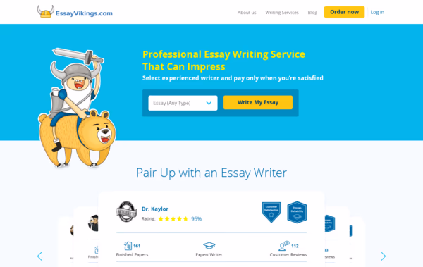 EssayVikings Essay Writing Service Web Design