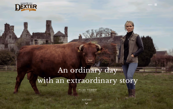 Killenure Dexter Beef Web Design