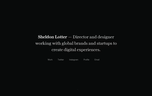 Sheldon Lotter Web Design