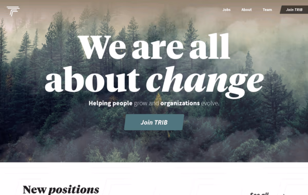 Trib. Web Design