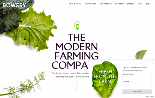 Bowery Web Design