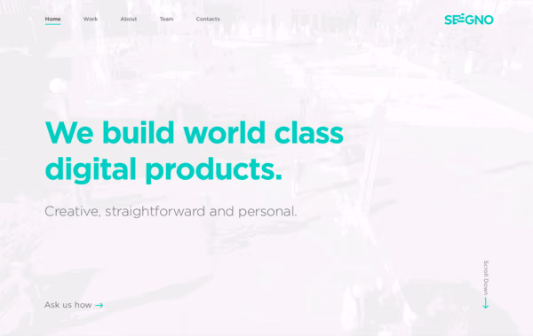Seegno Web Design