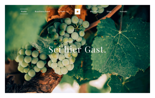 Buschenschank Gnaser Web Design