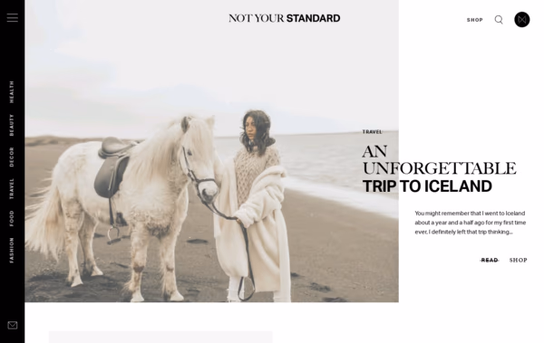 Not Your Standard  Web Design