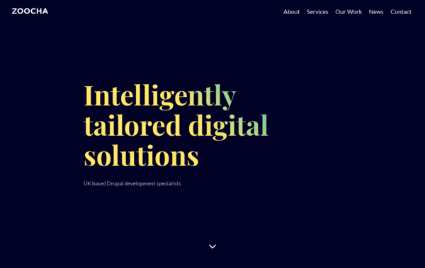 Zoocha Web Design