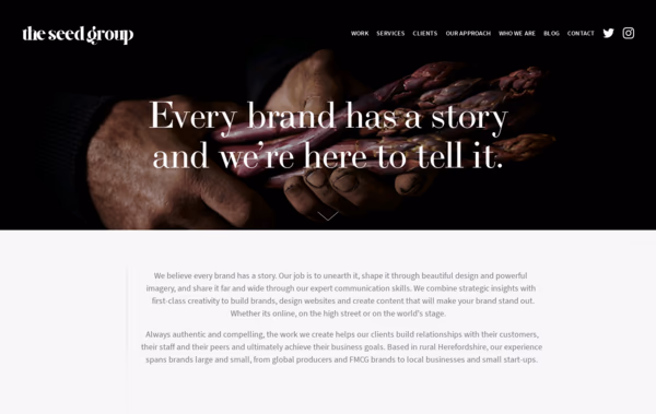 The Seed Group Web Design