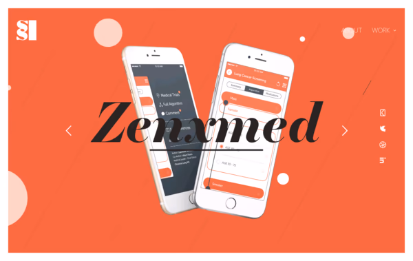 Portfolio of Shaun Scholtz UX designer Web Design