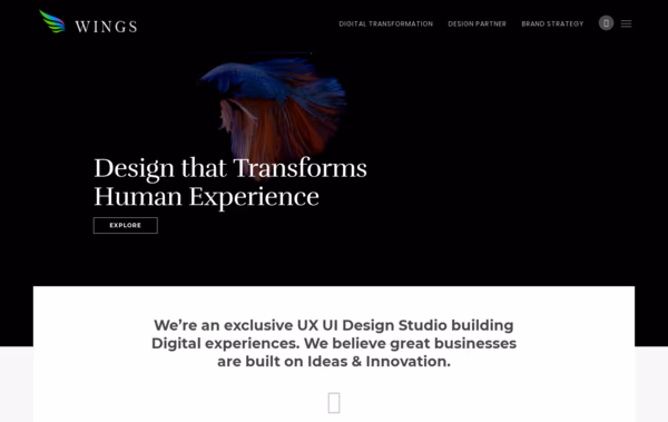 Wings Design UI/UX Design Company Web Design
