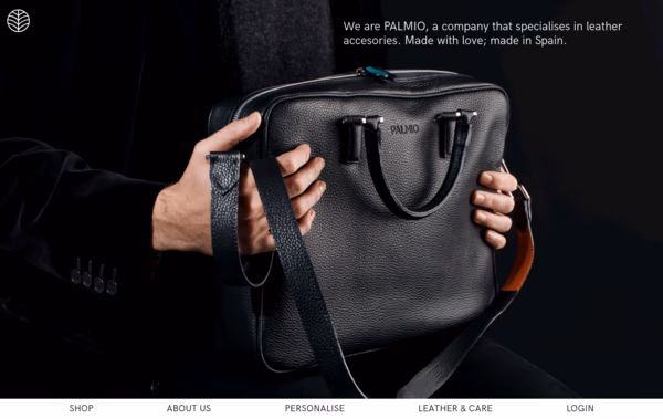 Palmio Web Design