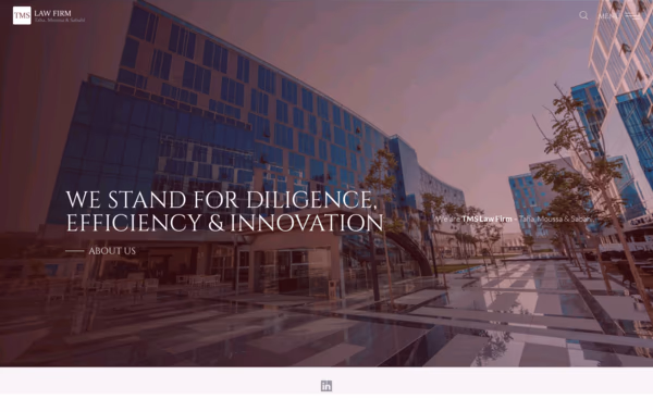 TMS LAW FIRM Web Design