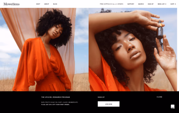 Mowellens Web Design