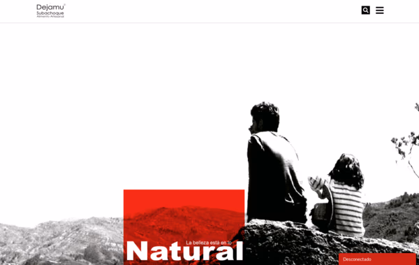 Dejamu Web Design