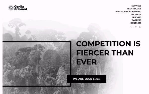 Gorilla Onbroad Web Design