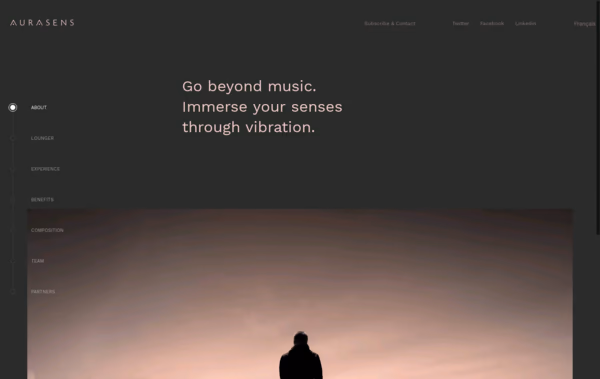 Aurasens Web Design