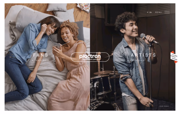 Plactron Web Design