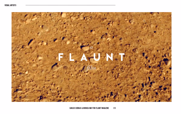 Visual Artists Web Design