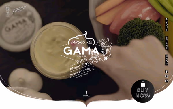 TAPUKO THE GAMA Web Design