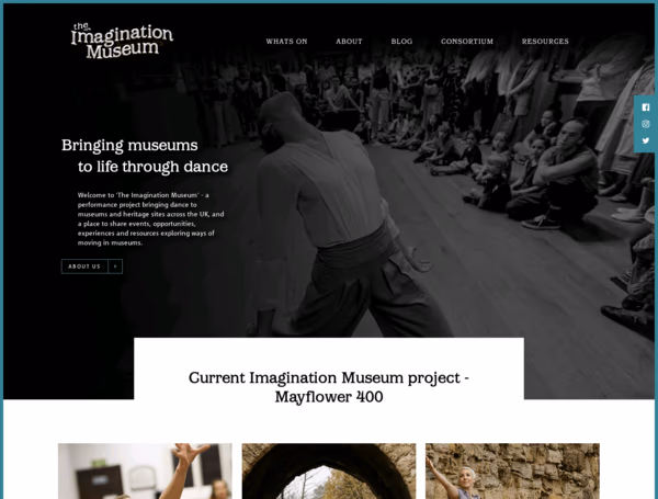 The Imagination Museum Web Design