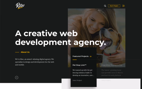 Rise Creative Web Development Agency Web Design