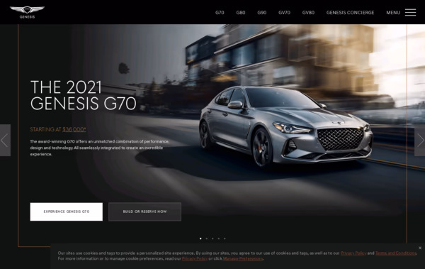 Genesis USA Web Design