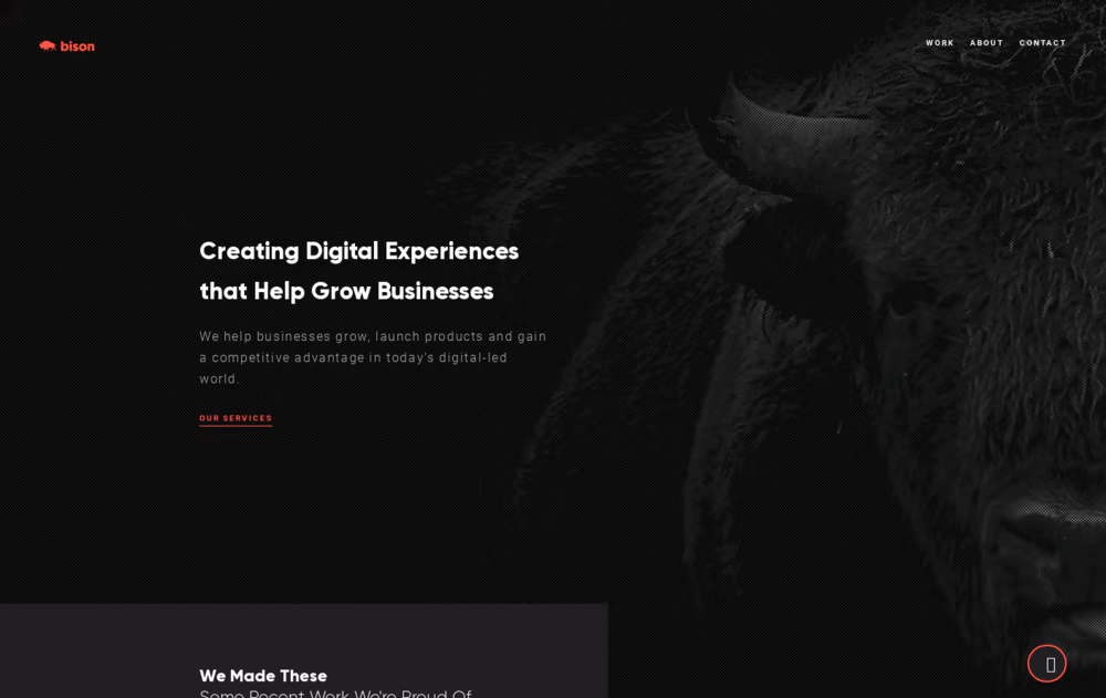 Bison Studio