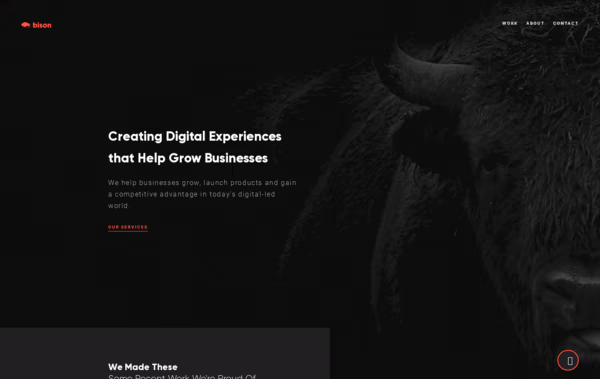 Bison Studio Digital UX Agency Web Design