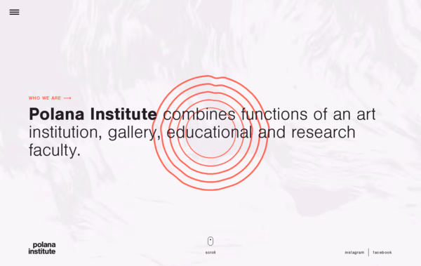 Polana Institute Web Design