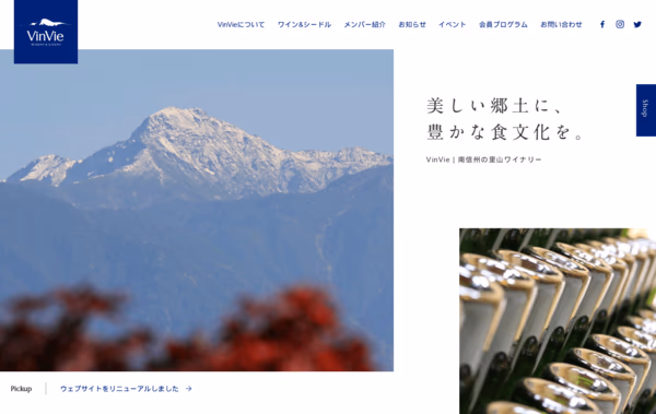 VinVie Web Design