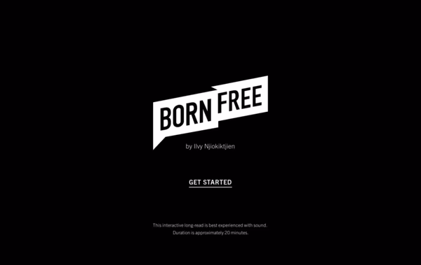 Born Free Generation Web Design