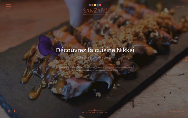 Sanzaru Web Design
