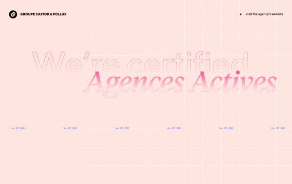 Castor & Pollux Web Design