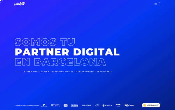VueloIV Web Design