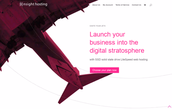 Insight Hosting Web Design