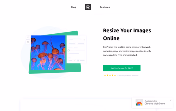 Resizing Tool Web Design