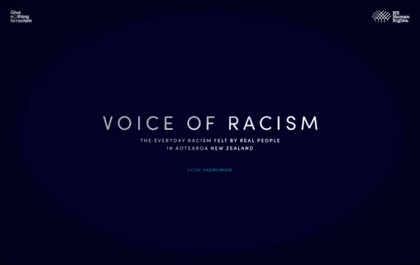 Voice of Racism Web Design