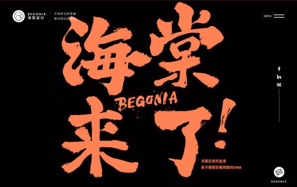 Begonia Design Agency Web Design