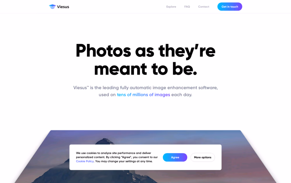 Viesus