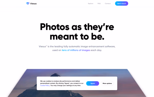 Viesus Web Design