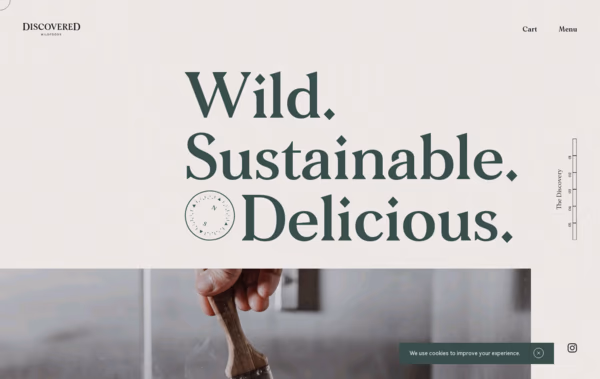 Discovered Wildfoods Web Design
