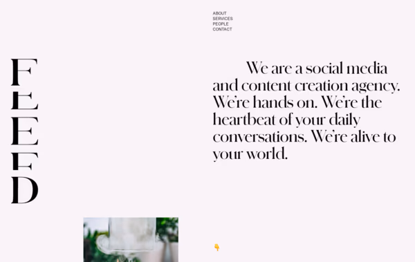 Feed Social Media Agency Web Design
