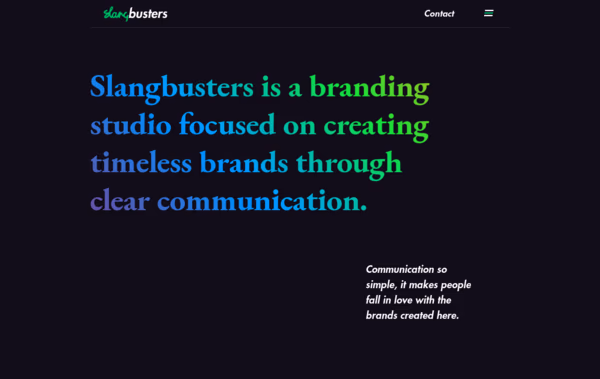 Slangbusters Branding Studio Web Design