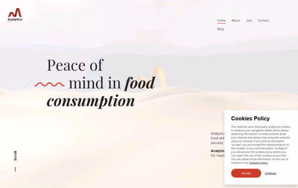 Analytica Alimentaria Web Design