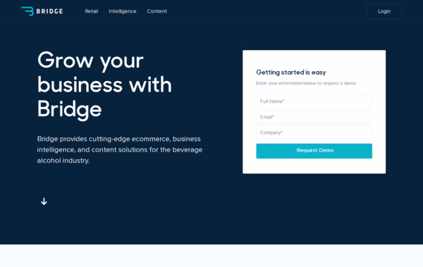 Bridge Web Design