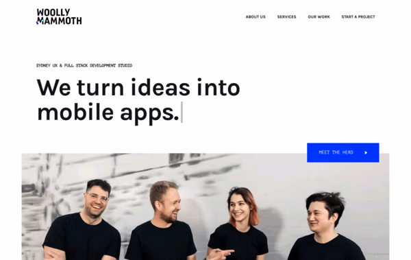 Woolly Mammoth Web Design