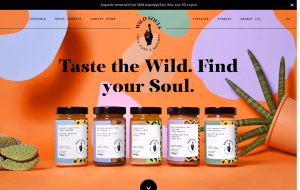 Wild Souls Web Design