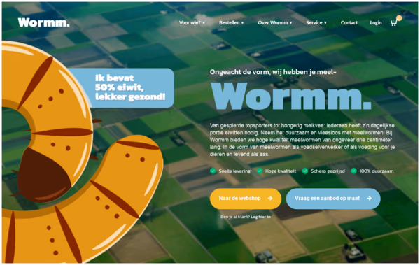 Wormm Web Design